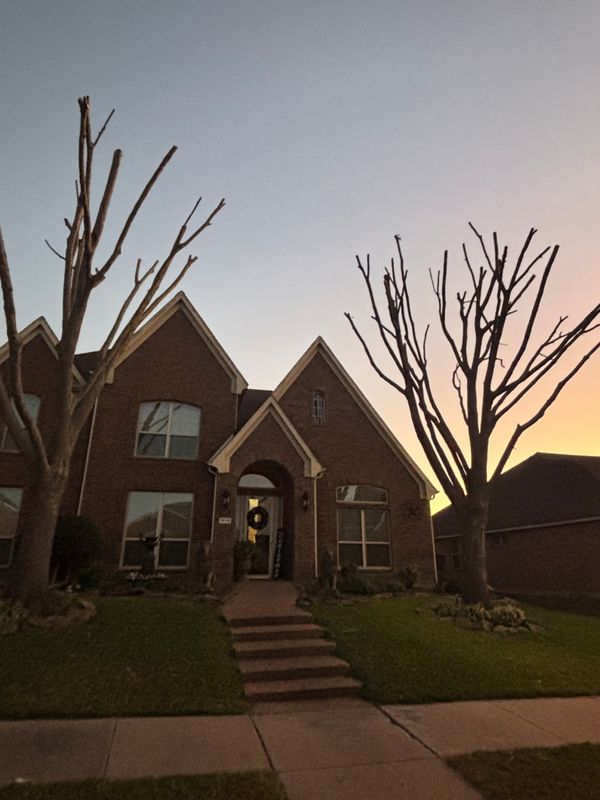 Tree Trimming