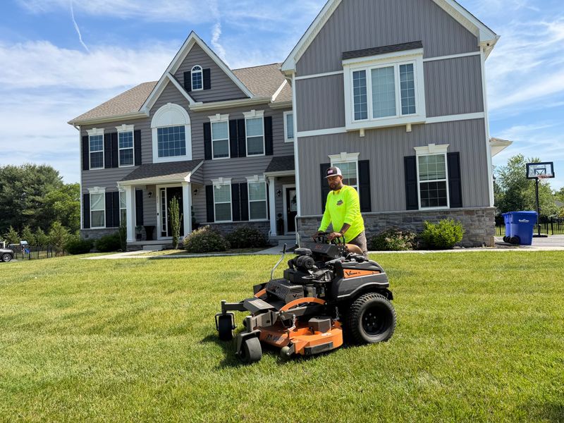 Lawn Maintenance