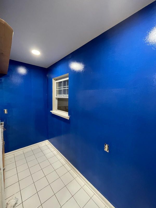 Basement Remodel