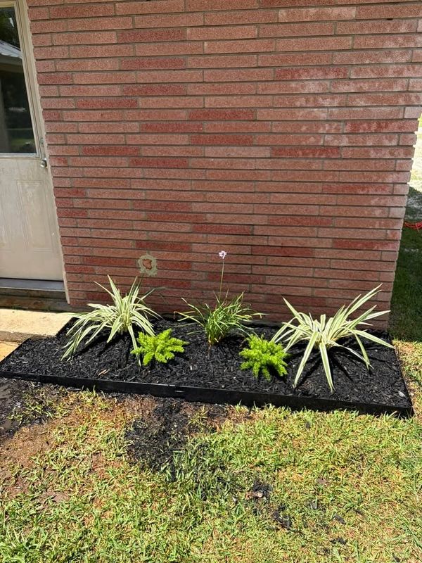 Lawn Maintenance