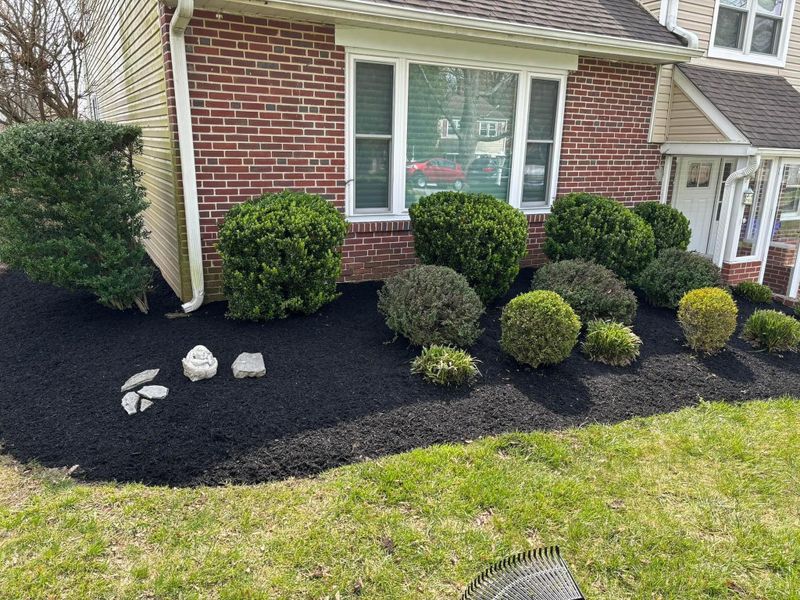 Mulch Bed Installation and Renovation