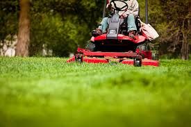 Lush Lawn Transformation in Clermont: TLM Landscape Professionals Revitalize Outdoor Spaces