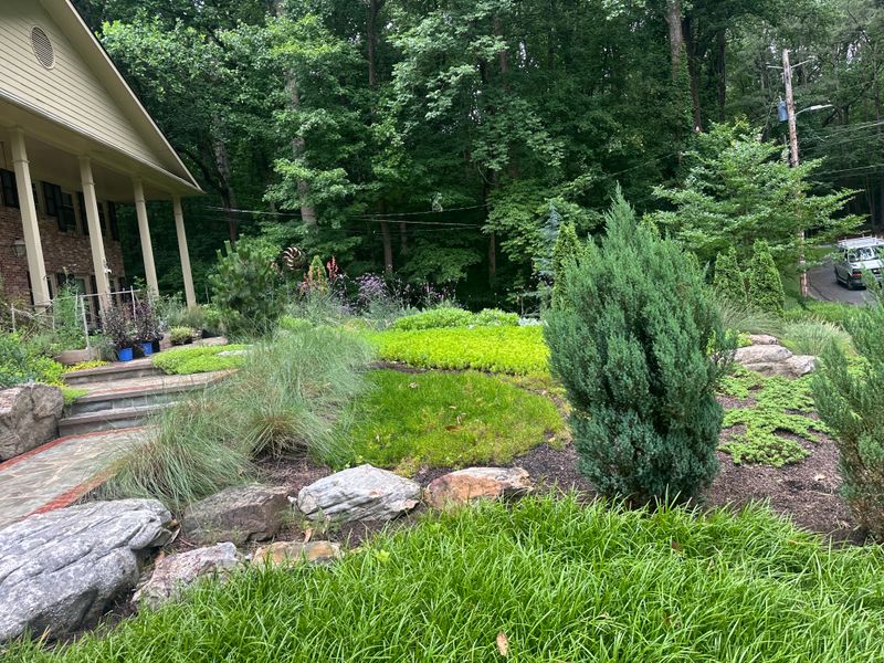 Patios & Hardscapes