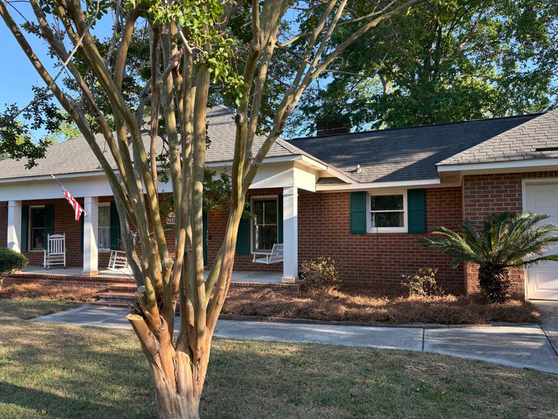Tree & Shrub Care