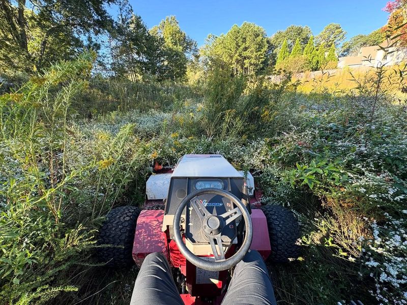 Small - Medium Tree Removal and Trimming