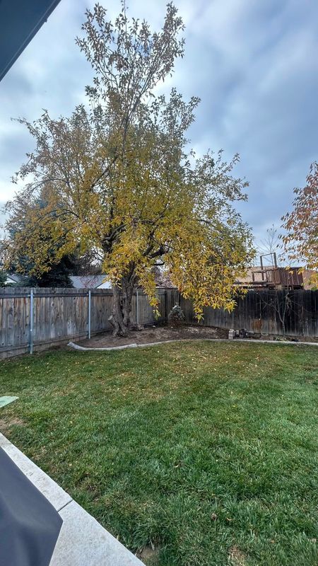 Lawn Mowing and Maintenance