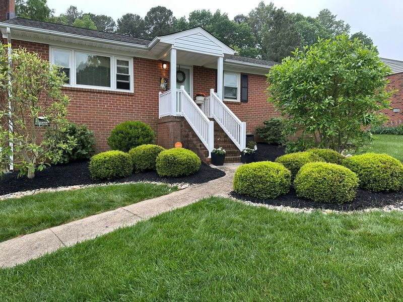Tree & Shrub Care