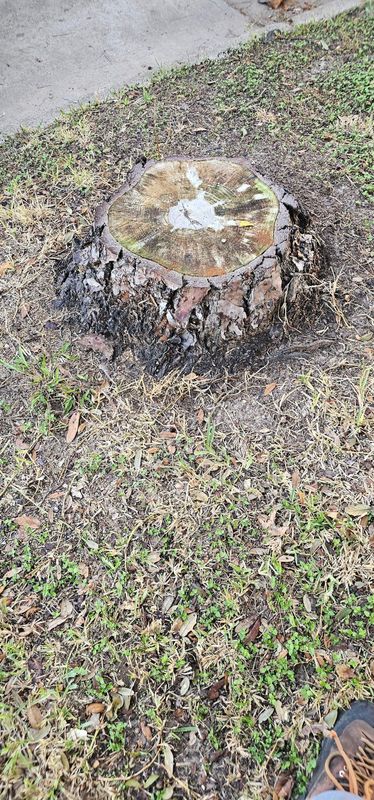 Stump Removal