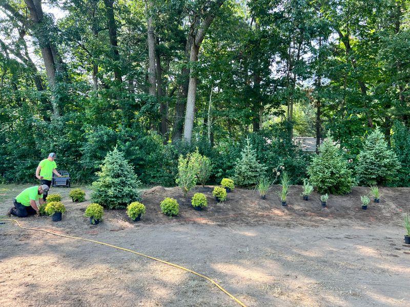 Landscaping