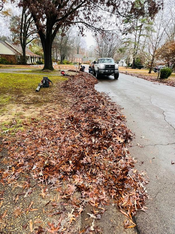 Fall Clean Up