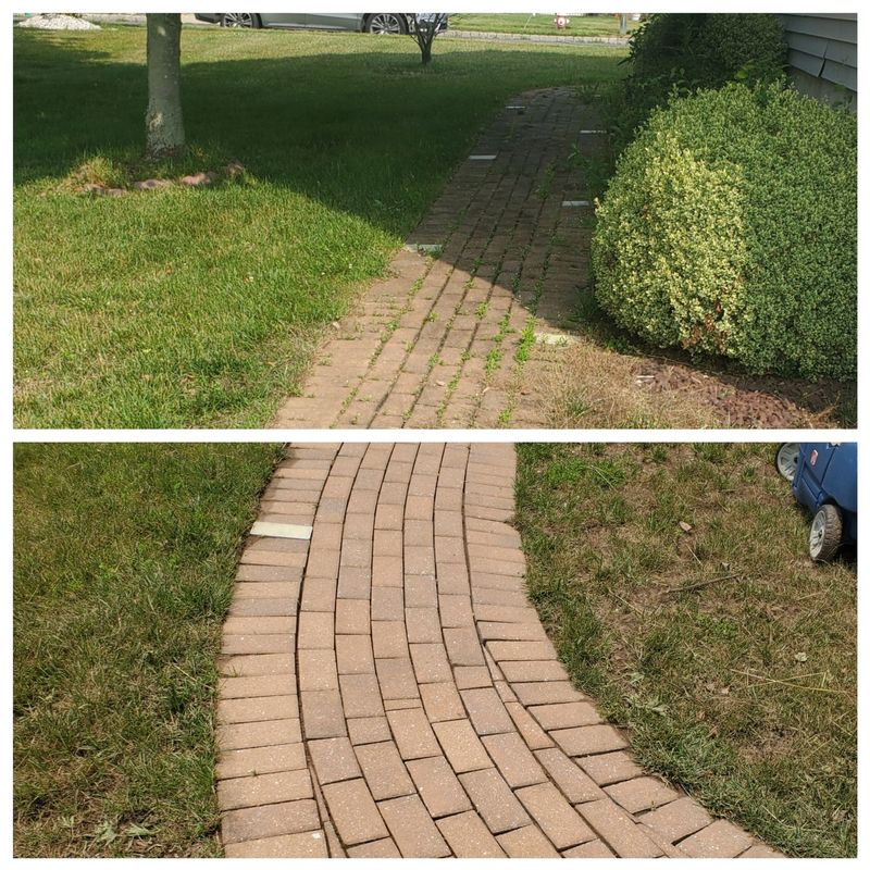 Concrete and Paver Cleaning