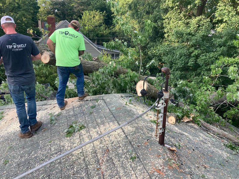 Mowing and Tree Services
