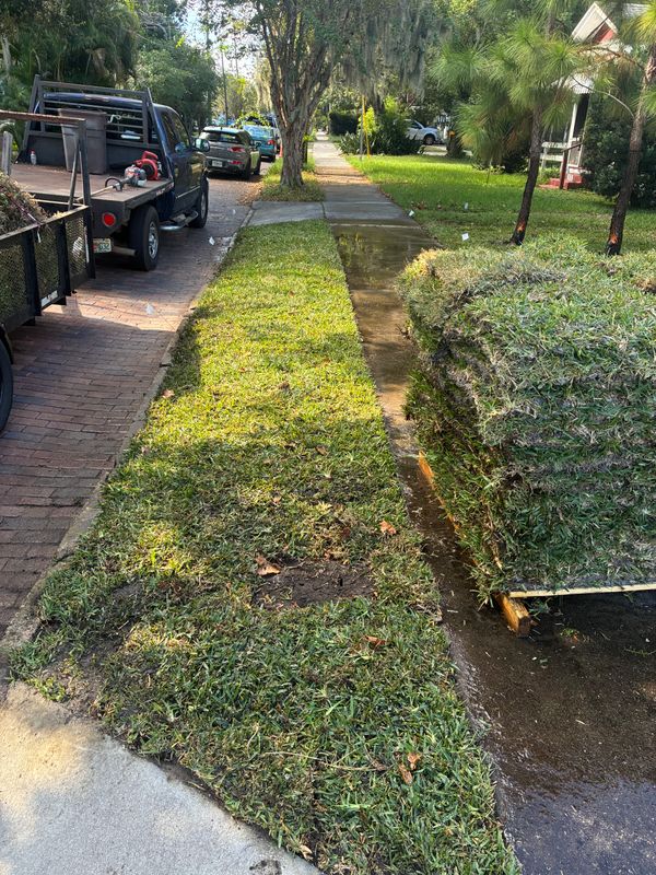 Landscape Design