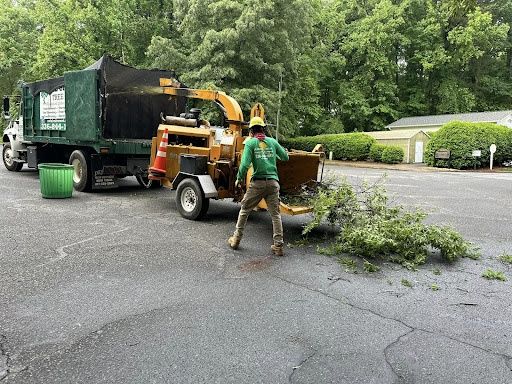 Residential Tree Services