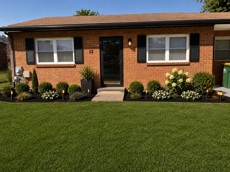 Lawn Maintenance