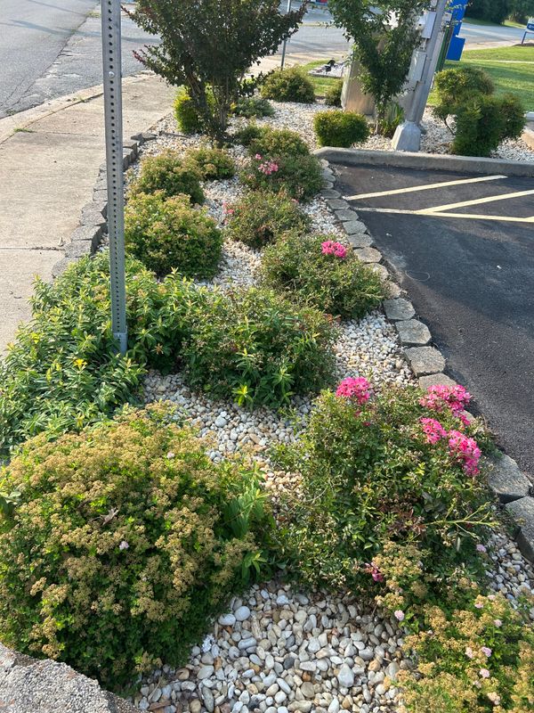 Flower Bed Installation  gallery