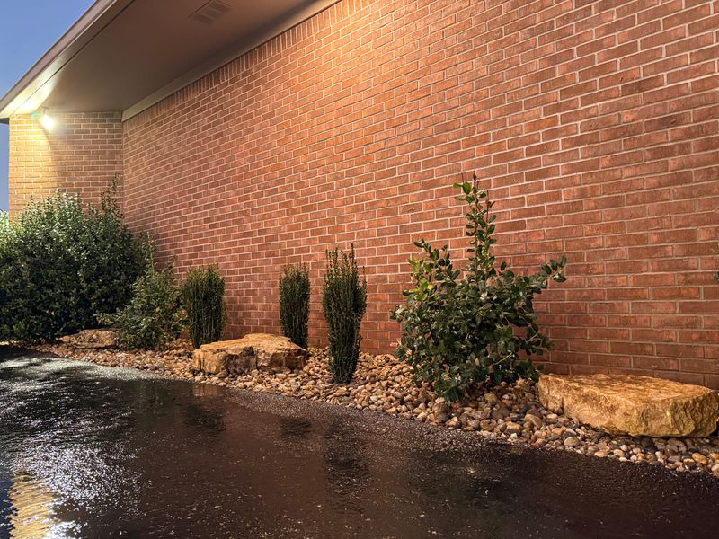 Plant & Shrub Installations