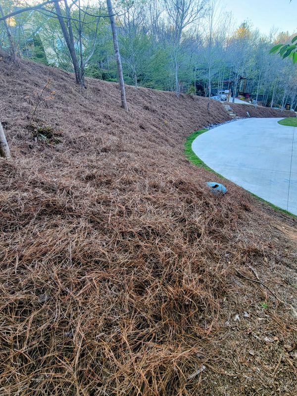 Mulch