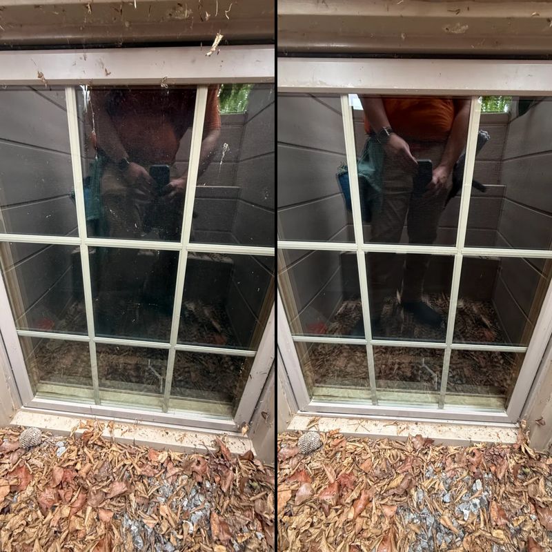 Exterior Window Cleaning