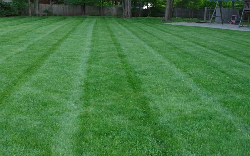 Lawn Maintenance