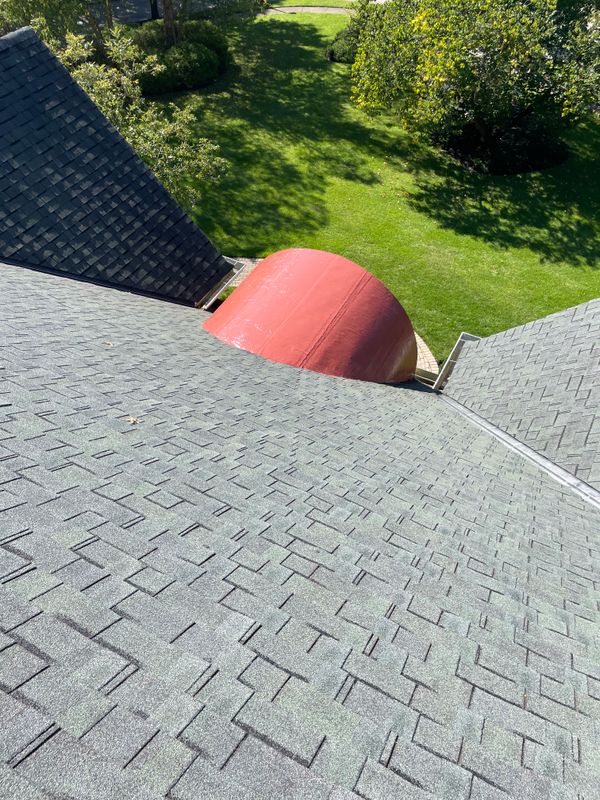 Silicon roof coating