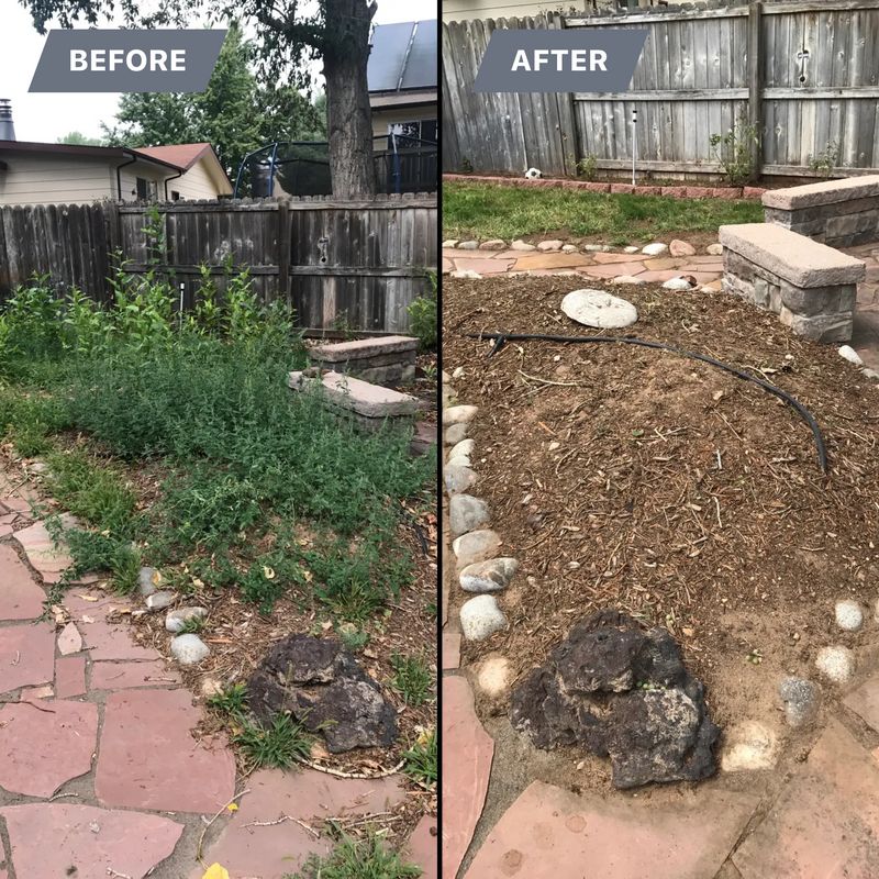 Seasonal Clean-Up Services