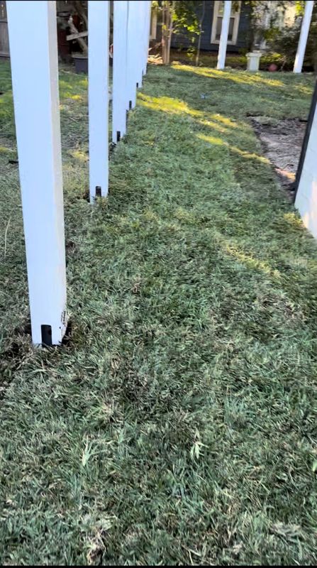 Shrub Trimming