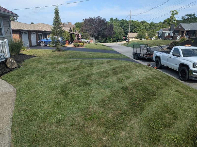 Lawn Maintenance