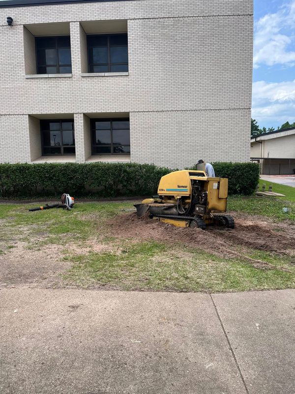 Stump Removal