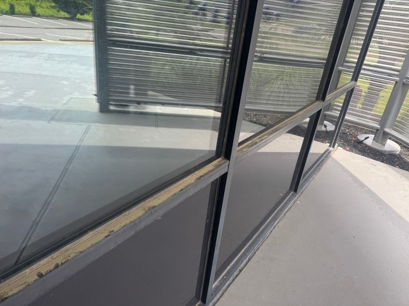 Revitalize Your Business: Stunning Soft Wash Transformation  in Columbia, SC