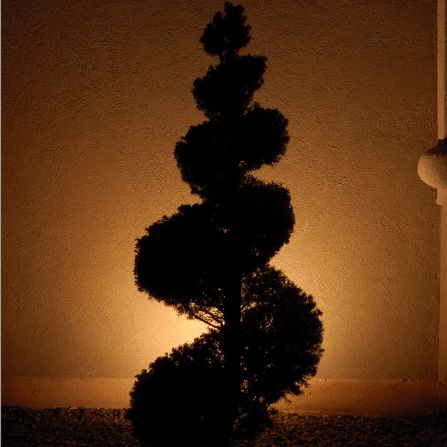 Lighting