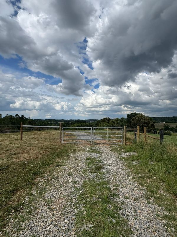 Fencing
