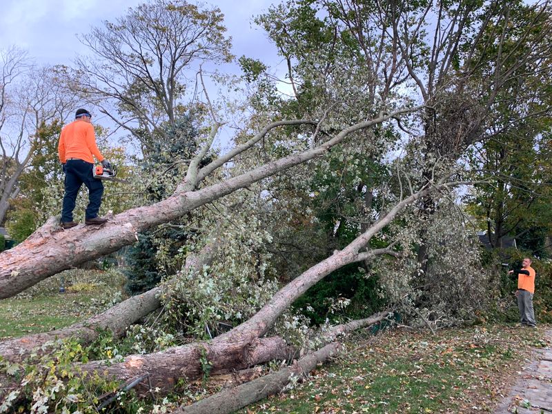 Debris Cleanup