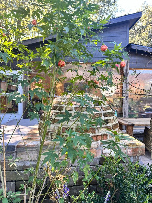 Flowerbeds & Native Plants