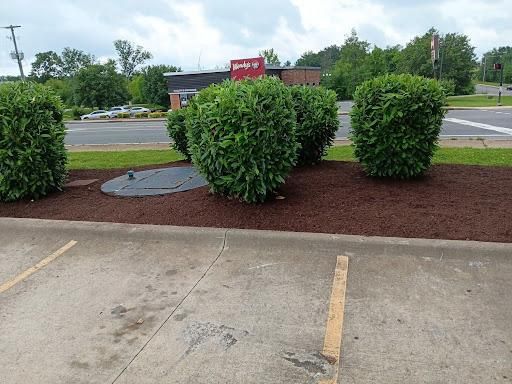Mulch Installation