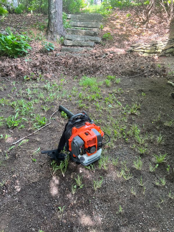 Fall Clean Up