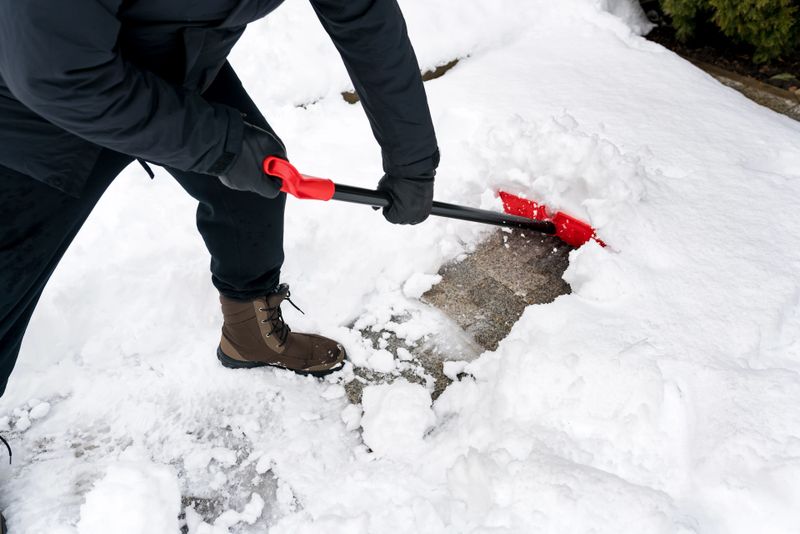 Snow Removal