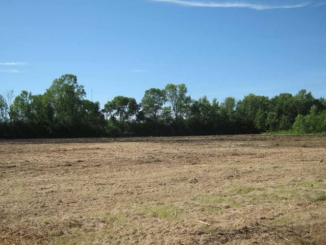 Lot Clearing