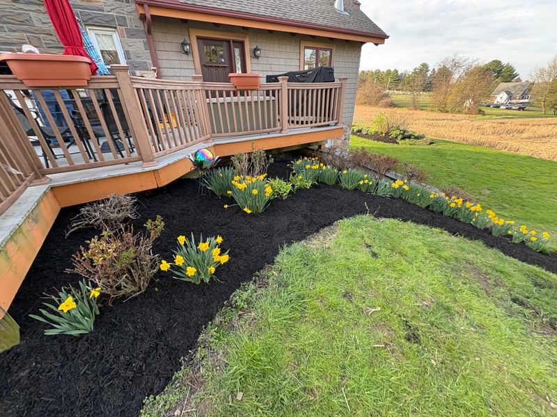 Landscaping