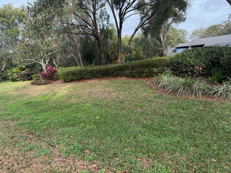 Mulch Installation