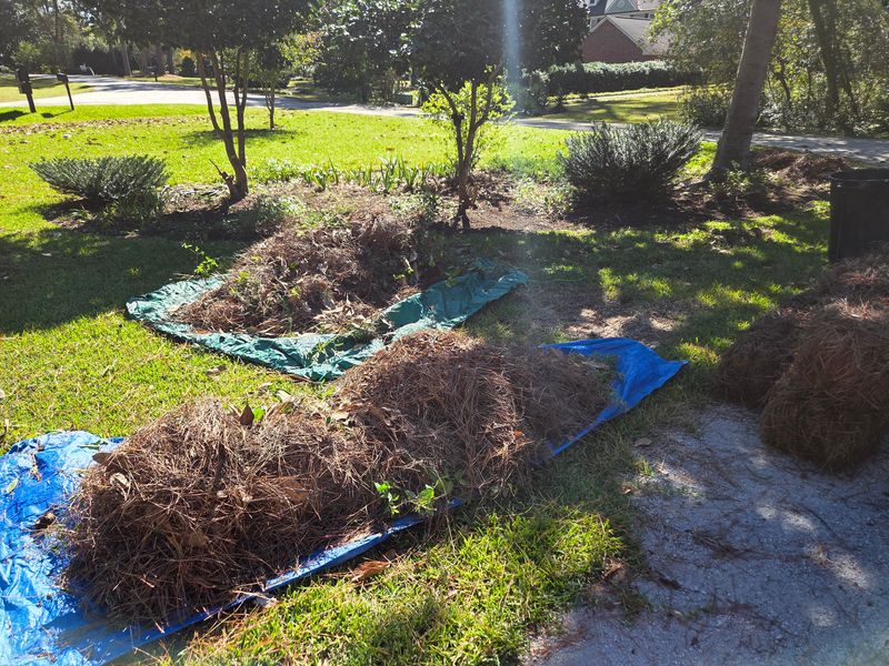 Mulch Flower Bed Maintenance
