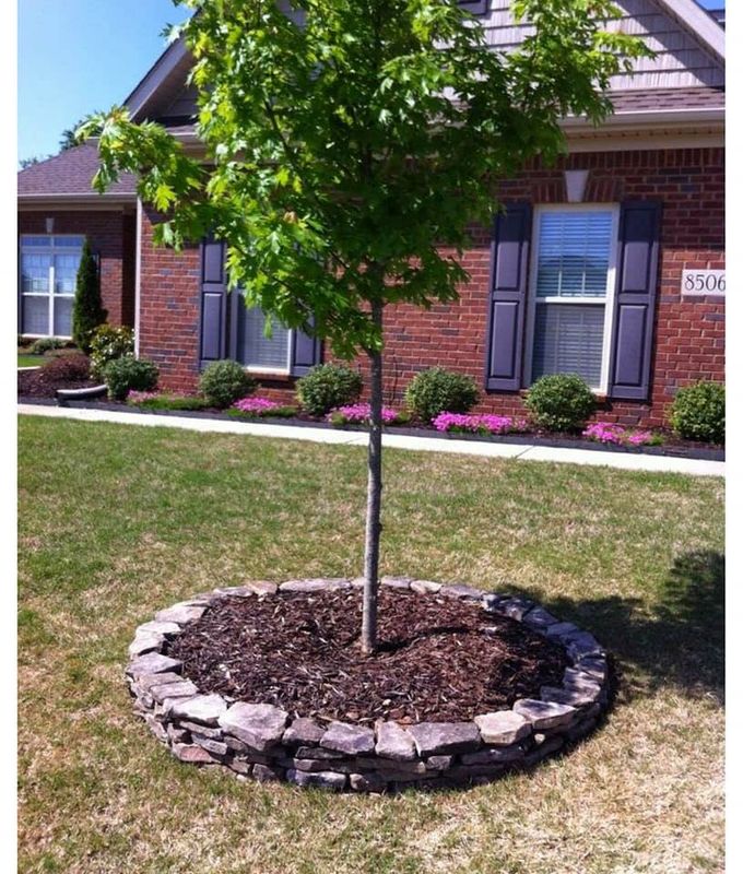 Plant & Shrub Installations