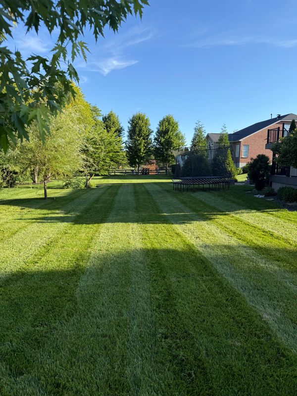 Mowing