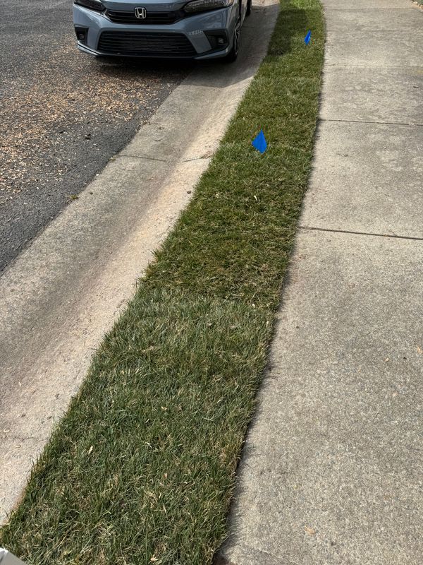 Mowing