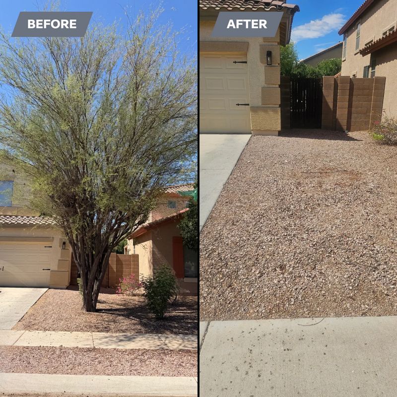 Tree & Shrub Care
