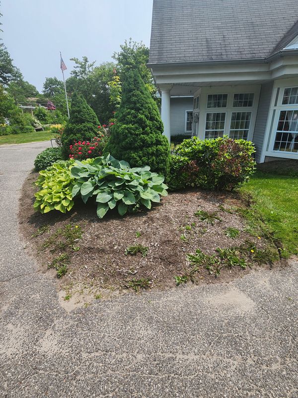 Muclhing & Weeding