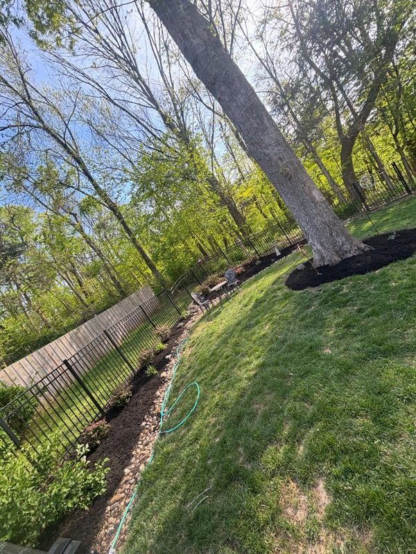 Lawn Maintenance