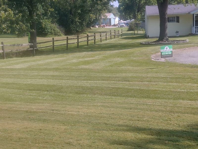 Lawn Care and Maintenance