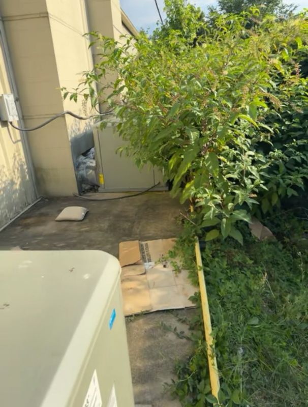 Debris Removal