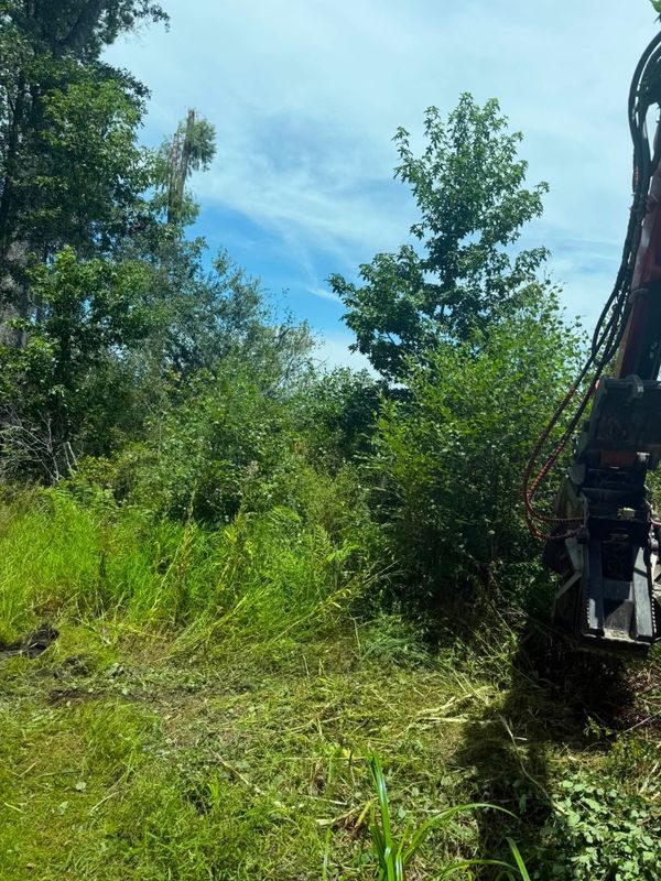 Land Clearing